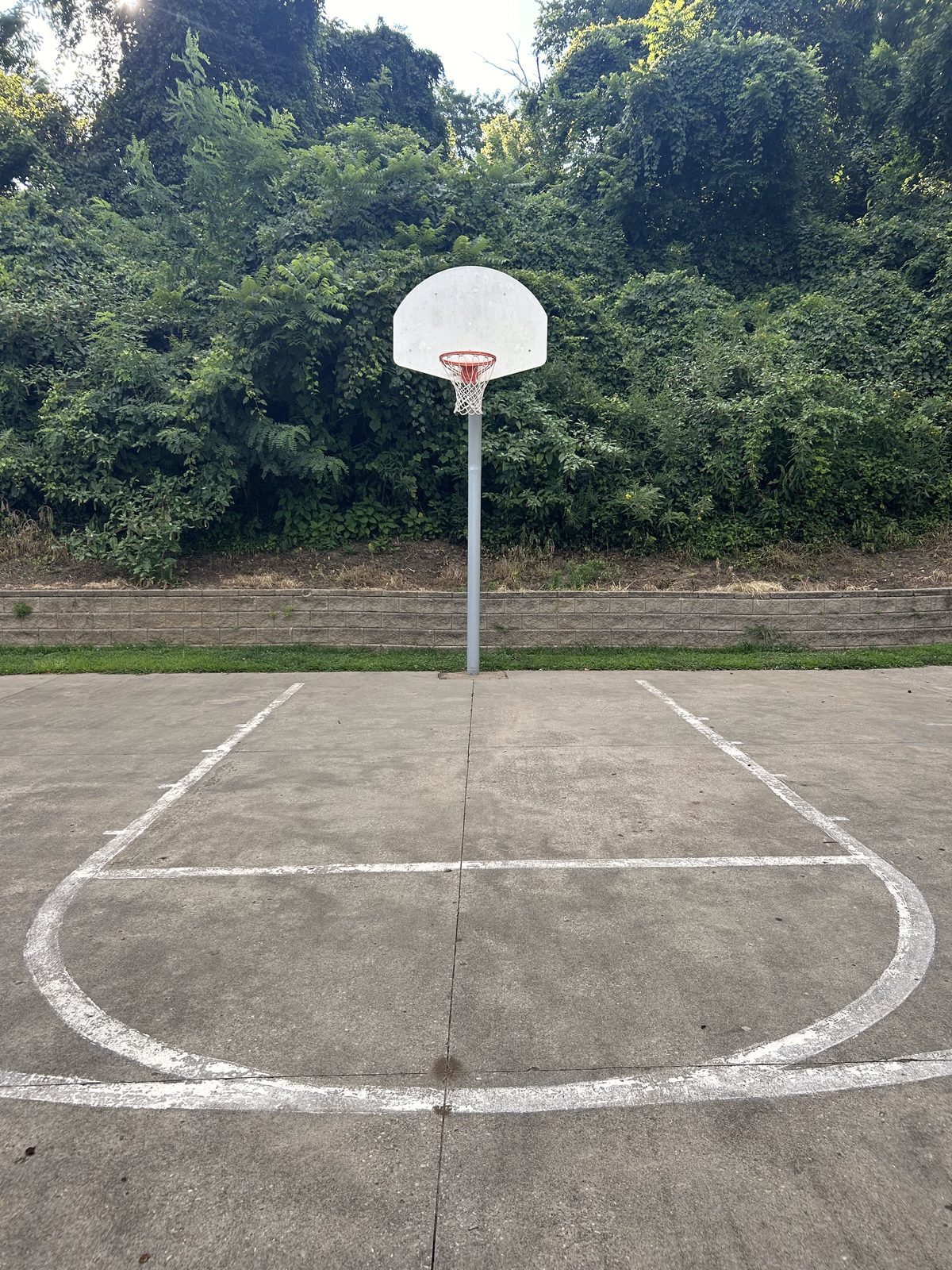 Concrete outdoor half court with a painted key, backboard facing a wooded hillside